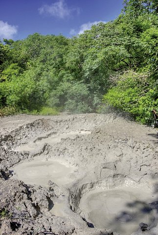 Costa Rica - Auf der Suche nach den Faultieren