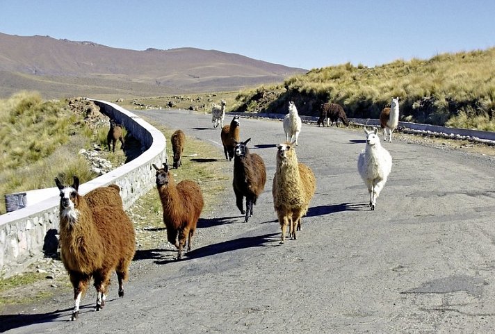 Sagenhafte Naturschätze im Norden Argentiniens