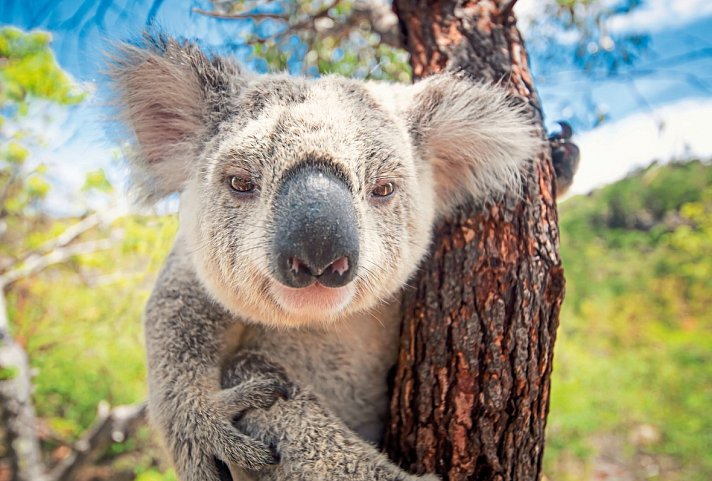 Höhepunkte Australiens (ab Sydney/bis Melbourne)