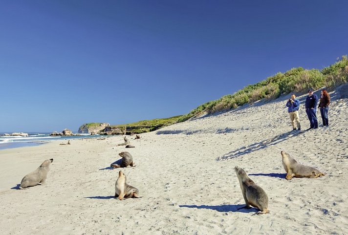 Höhepunkte Australiens (ab Sydney/bis Melbourne)