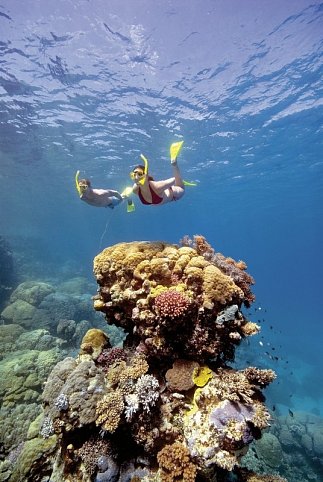 Sydney, Rock, Reef & Rail