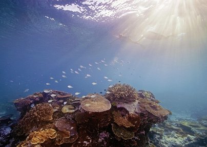 Australiens Glanzpunkte kompakt Sydney