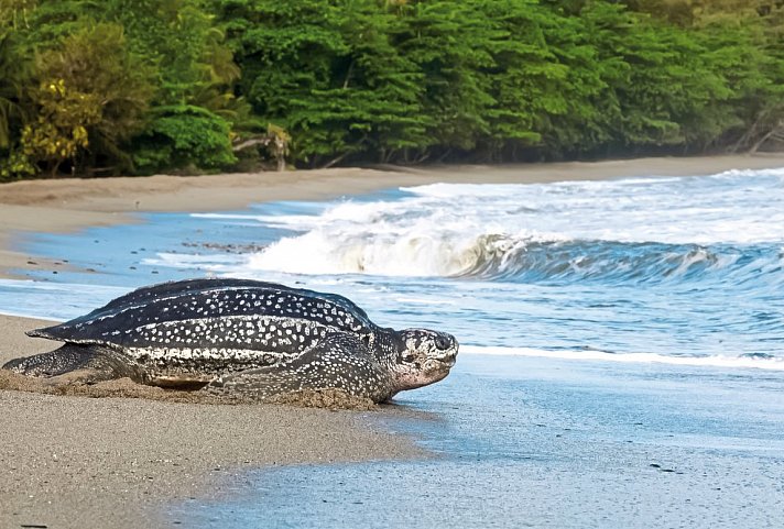 Trinidad Entdecken