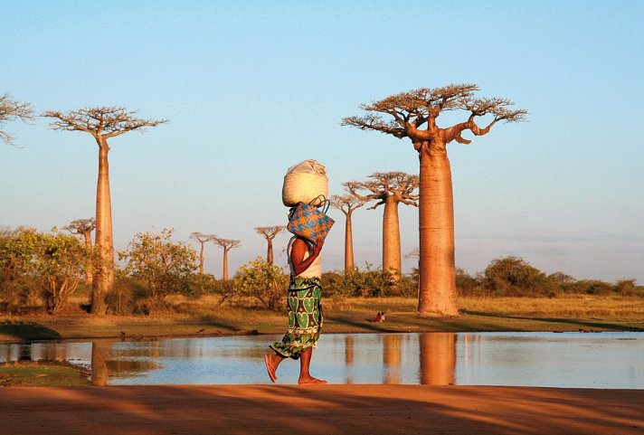 Höhepunkte Madagaskars