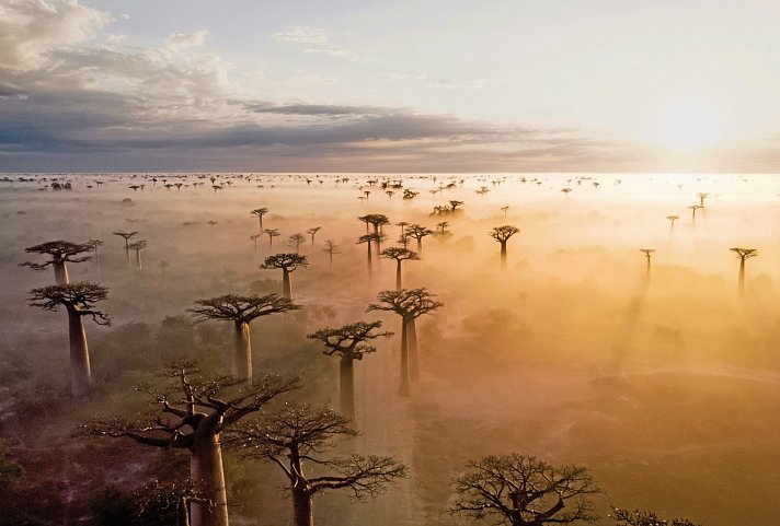 Höhepunkte Madagaskars