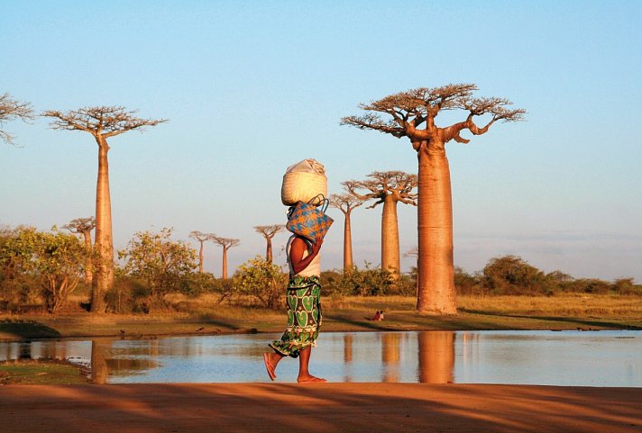 Naturparadies Madagaskar (ohne Badeverlängerung)
