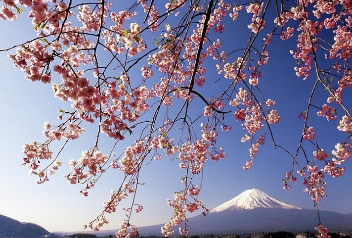 Impressionen Japans (inkl. Flug)