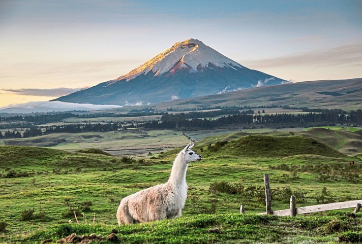 Ecuador auténtico