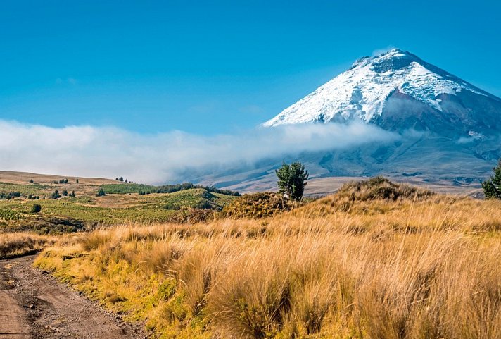 Farbenprächtiges Ecuador