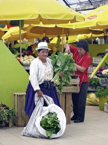 Farbenprächtiges Ecuador