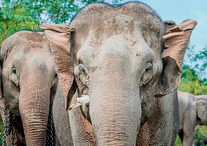 Laos - Natur und Kultur (Gruppenreise) Vientiane