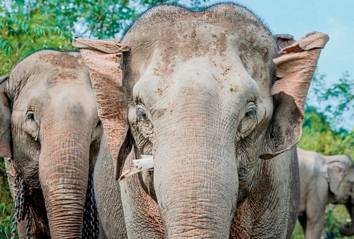 Laos - Natur und Kultur (Gruppenreise)