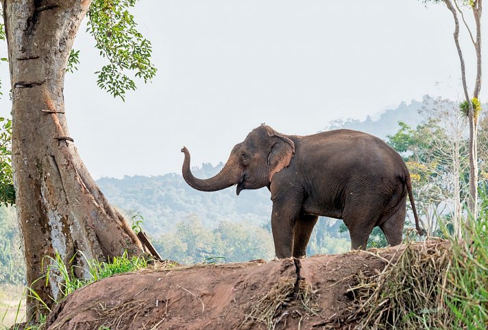 Laos - Natur und Kultur (Gruppenreise)