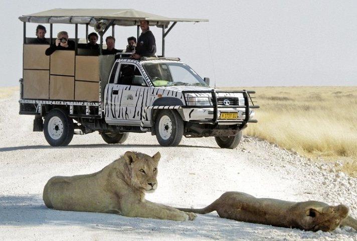 Ausflugspaket Etosha Nationalpark