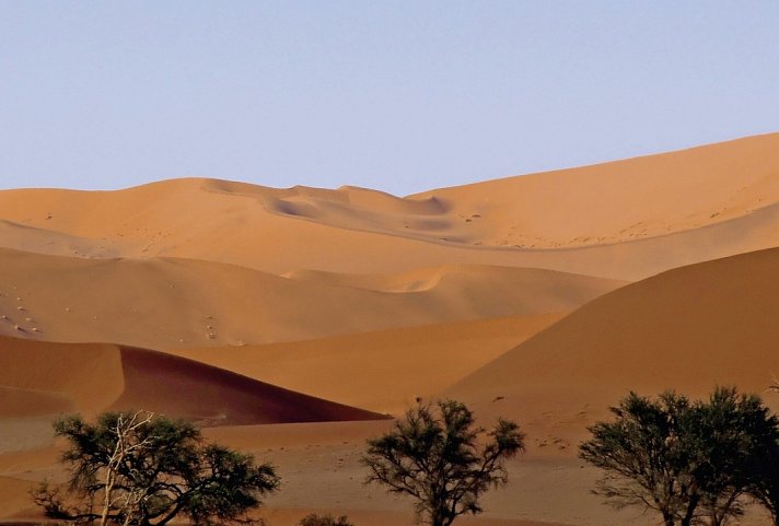 Kontrastreiches Namibia