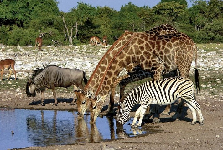 Kontrastreiches Namibia