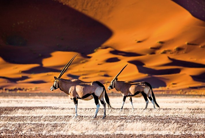 Kontrastreiches Namibia