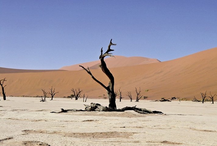 Namibia Classic Superior