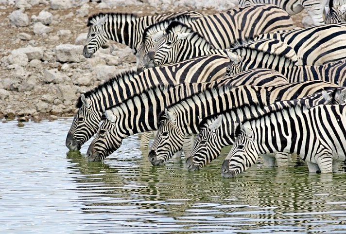 Namibia Flugsafari