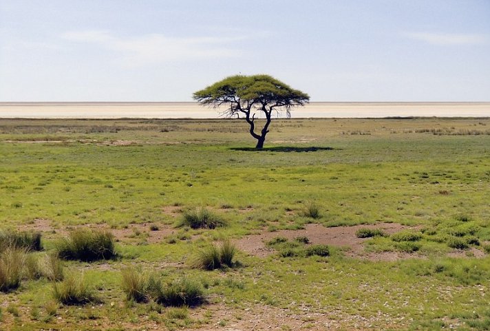 Traumreise Namibia