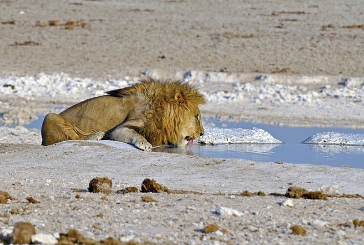 Traumreise Namibia