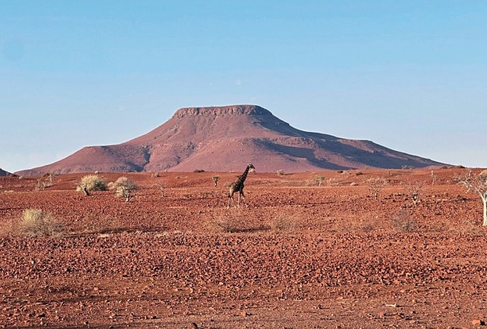 Traumreise Namibia