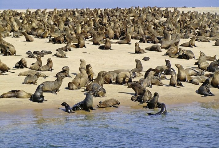 Best of Namibia Standard