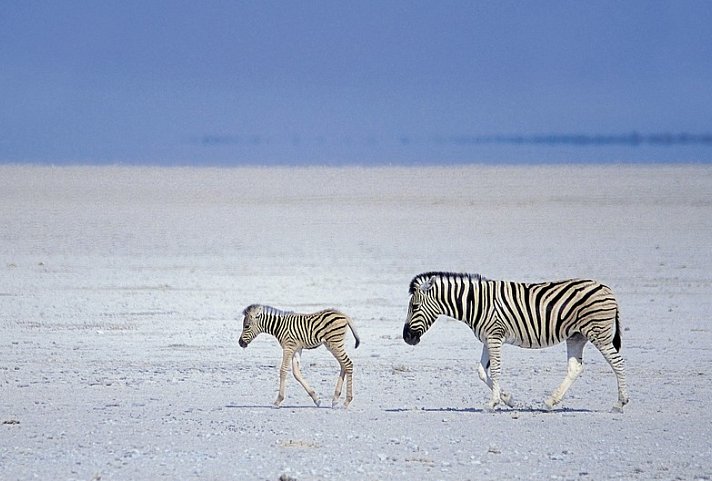 Best of Namibia (Autoreise) (ehemals Facettenreiches Namibia für Selbstfahrer)