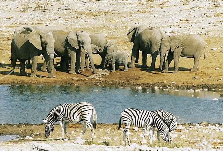 Namibia Kaleidoskop Superior