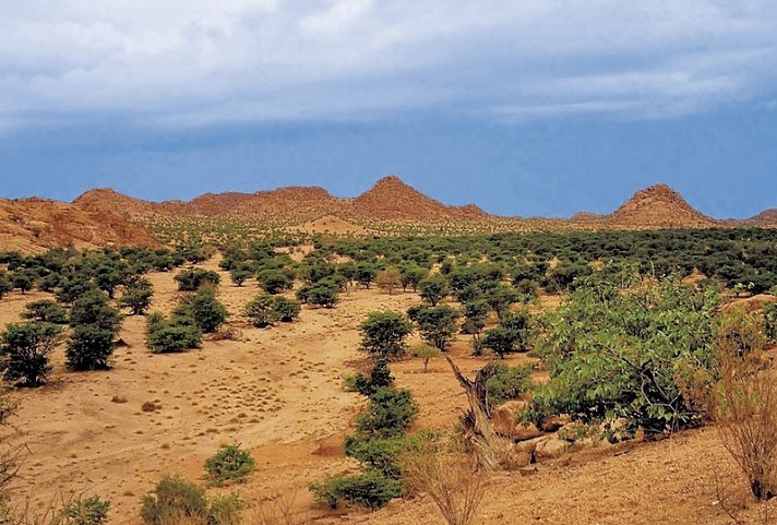 Namibia Kaleidoskop Superior