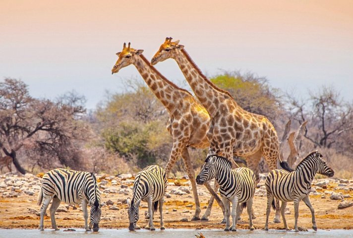 Namibia für Einsteiger