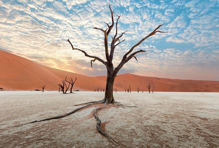 Namibia für Einsteiger