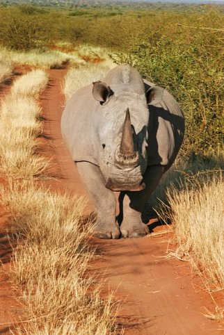 Namibia für Einsteiger