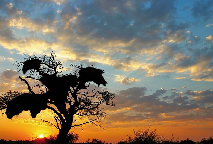 Namibia für Einsteiger