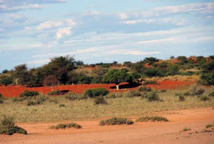Namibia für Einsteiger