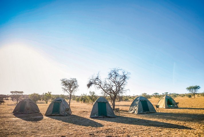 Abenteuer Namibia