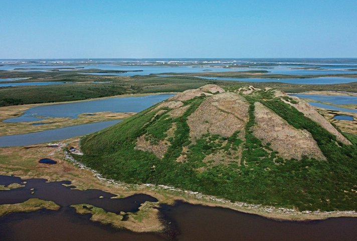 Arktischer Ozean, Tundra & Dempster Highway (Nordroute)