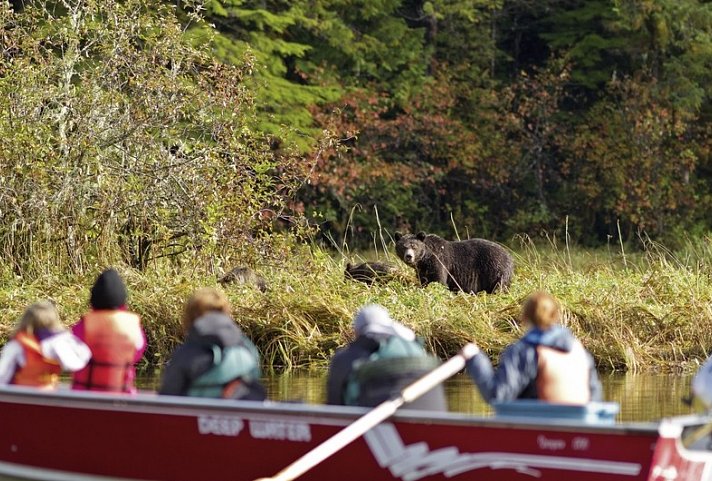 Great Bear Adventure