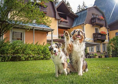Residenz Gruber - Fit mit Dog oder Doga Shortstay