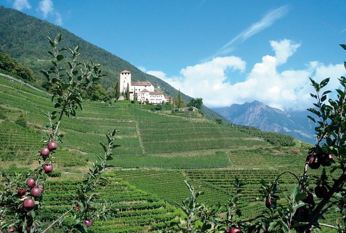 Südtiroler Wein- und Almenweg