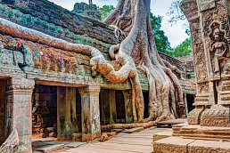 Ta Prohm Tempel, Angkor