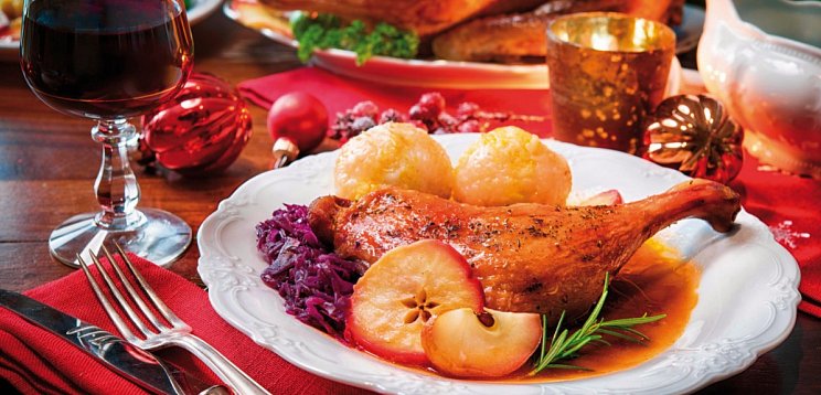 Weihnachtsgans - Fahrt nach Bratislava mit MS Primadonna
