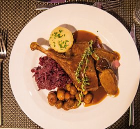 Gansl-Kreuzfahrt – Flusskreuzfahrt mit MS Nestroy