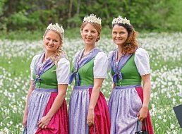 Tagesfahrt im Kaiserzug ins Salzkammergut zum Narzissenfest