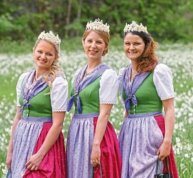 Tagesfahrt im Kaiserzug ins Salzkammergut zum Narzissenfest