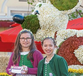 Tagesfahrt im Kaiserzug ins Salzkammergut zum Narzissenfest