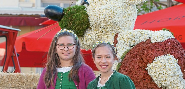Tagesfahrt im Kaiserzug ins Salzkammergut zum Narzissenfest