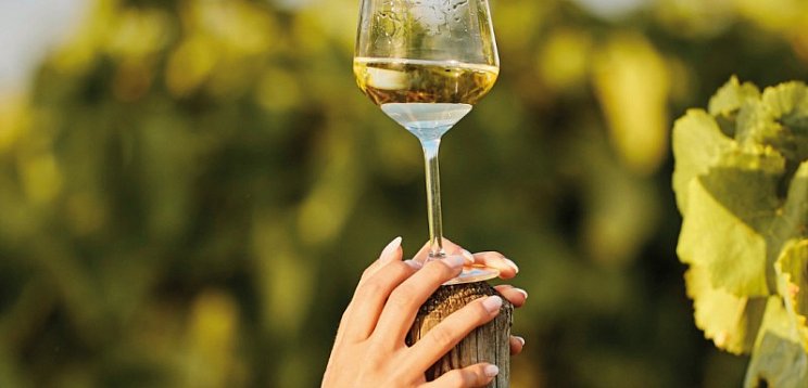 Boutique Hotel zum Sausaler