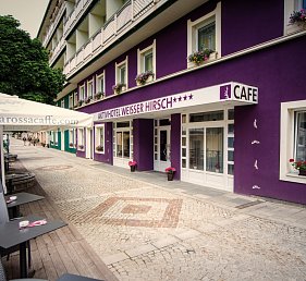 Aktivhotel Weisser Hirsch