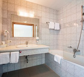 Aktivhotel Weisser Hirsch